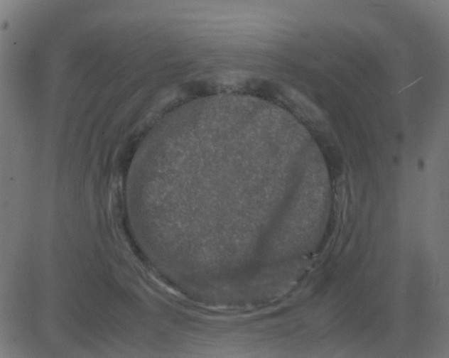 X0000081410225200702092117