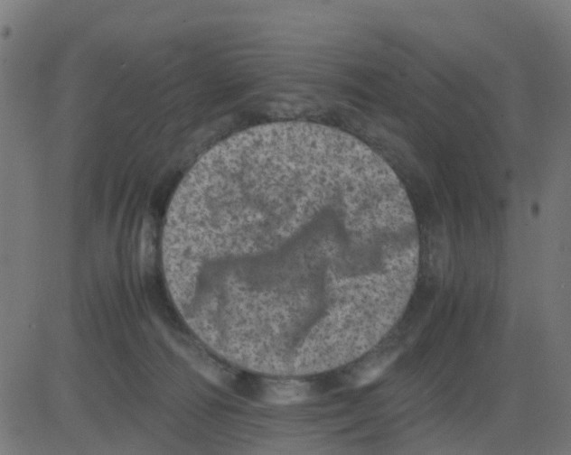 X0000081410226200702092117