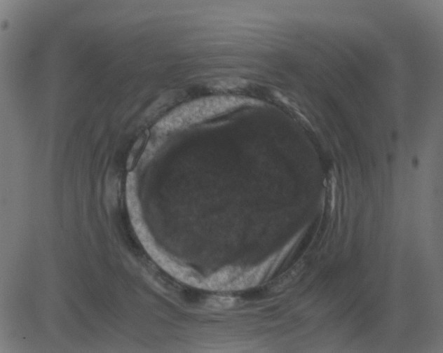 X0000081410227200702092117