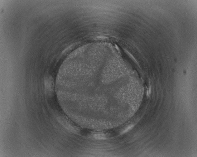 X0000081410228200702092117