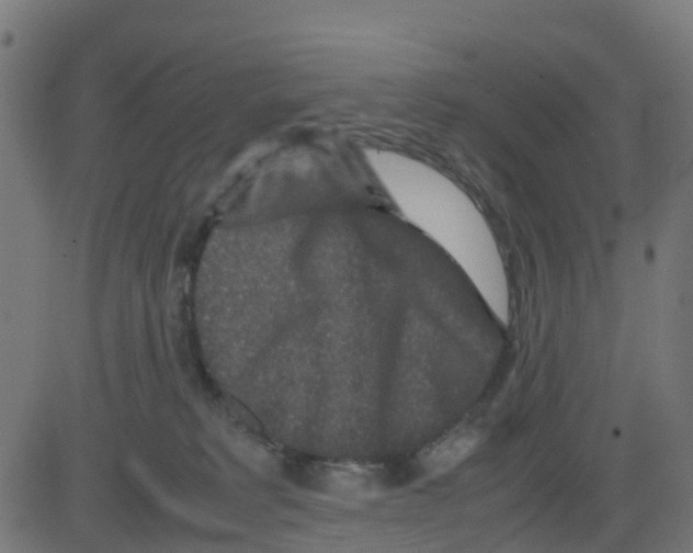 X0000081410229200702092117