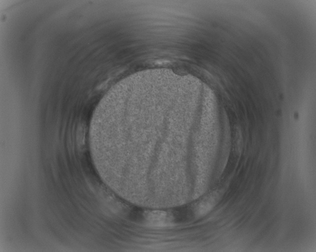 X0000081410230200702092117