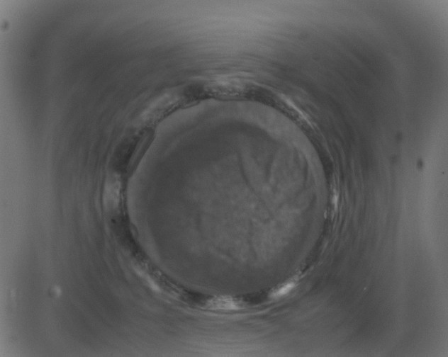 X0000081410231200702092117