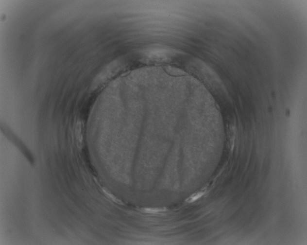 X0000081410232200702092116