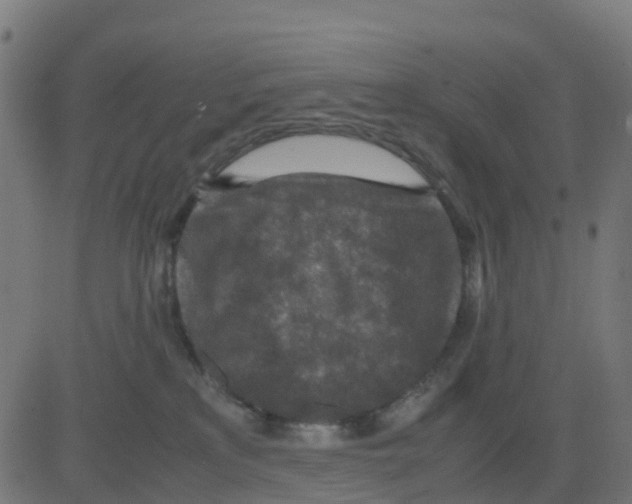 X0000081410233200702092116