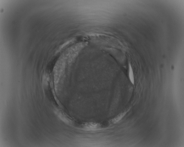 X0000081410235200702092116