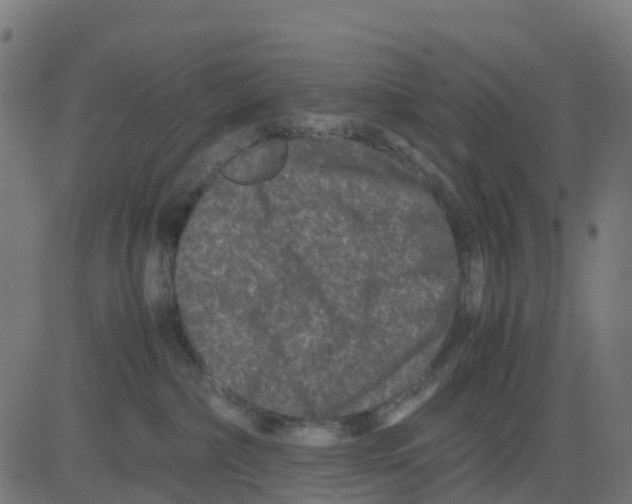 X0000081410236200702092116