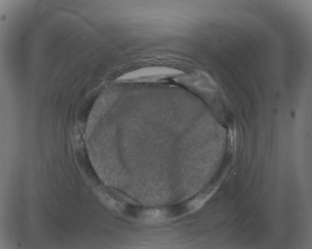 X0000081410237200702092116