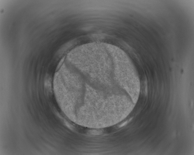 X0000081410238200702092116