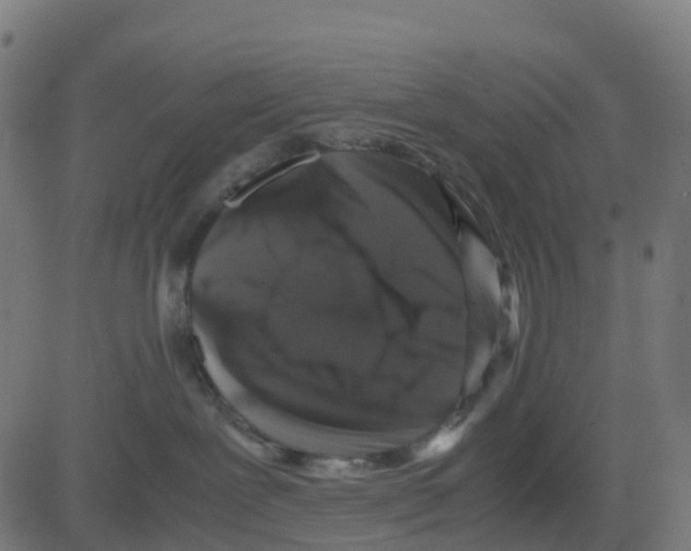 X0000081410239200702092116