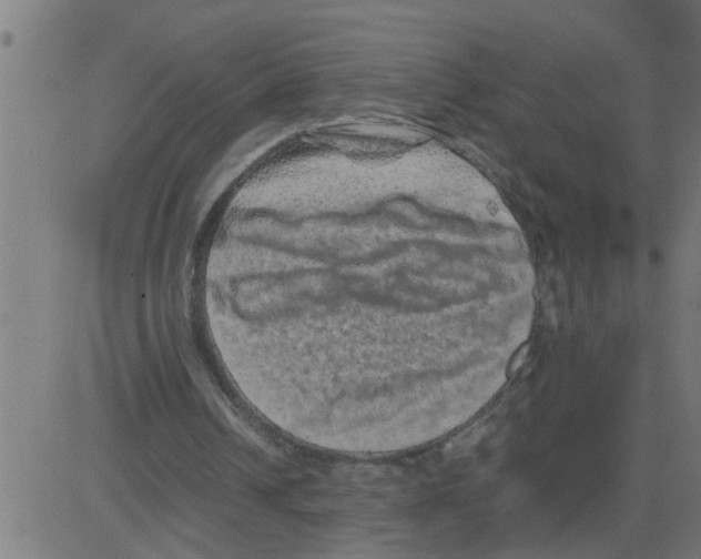 X0000081410242200702092116