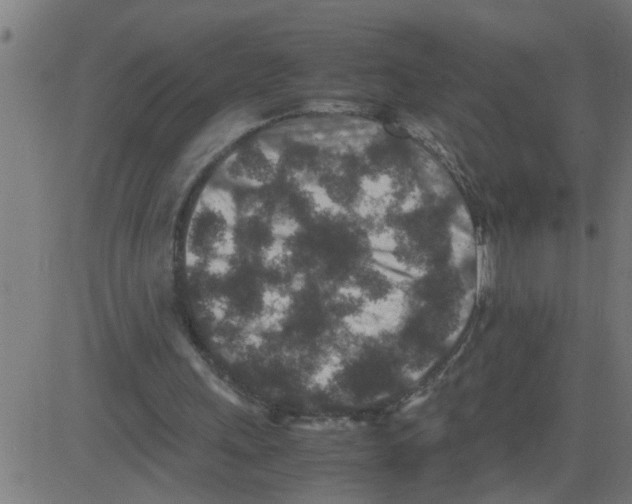 X0000081410243200702092116