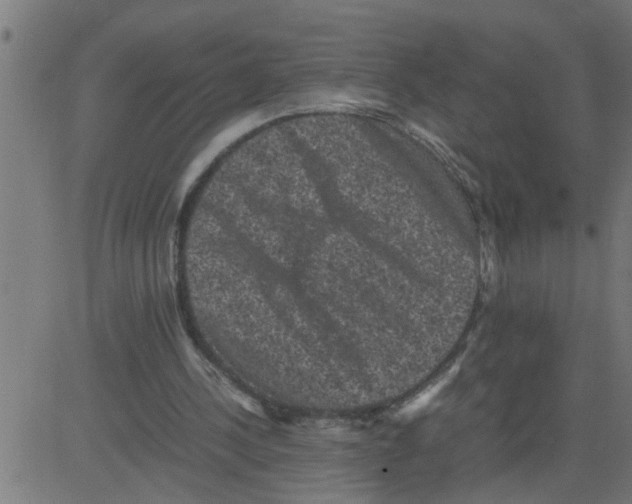 X0000081410244200702092116