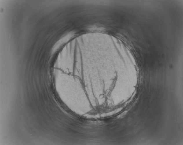 X0000081410245200702092116