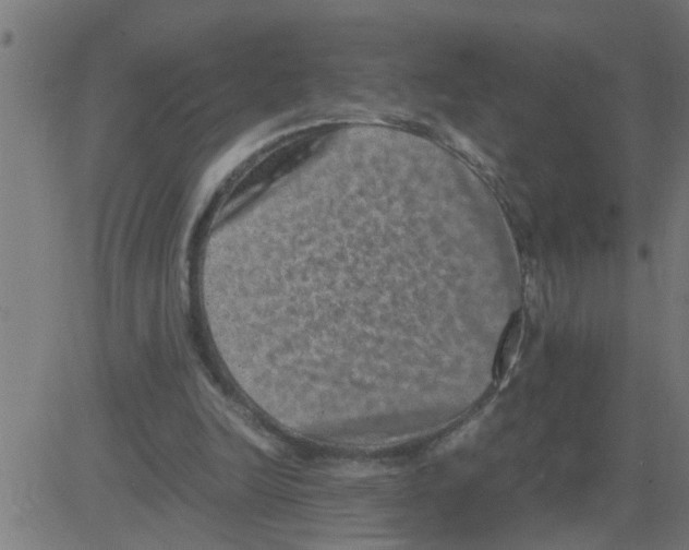 X0000081410246200702092116