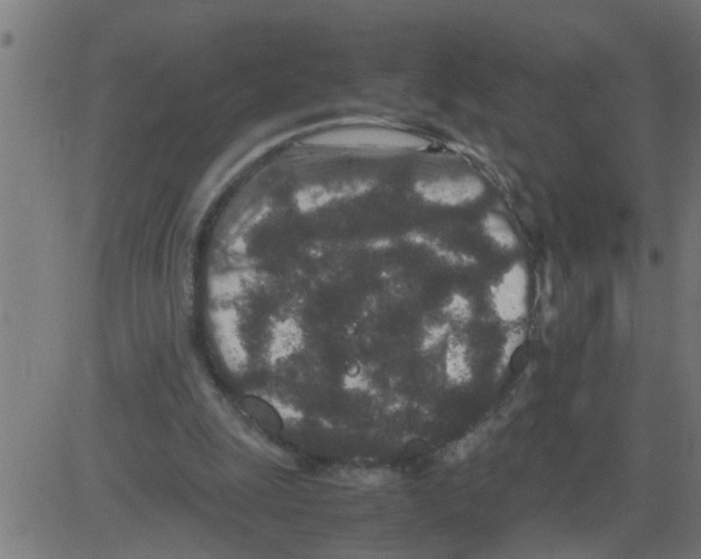 X0000081410247200702092116