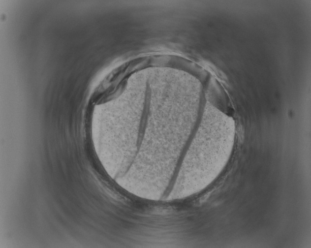 X0000081410248200702092116