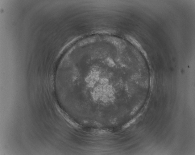 X0000081410249200702092116