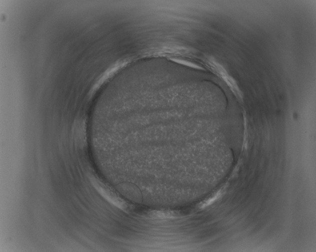 X0000081410250200702092116