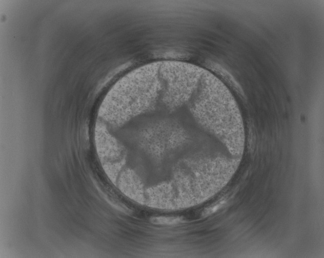 X0000081410251200702092116