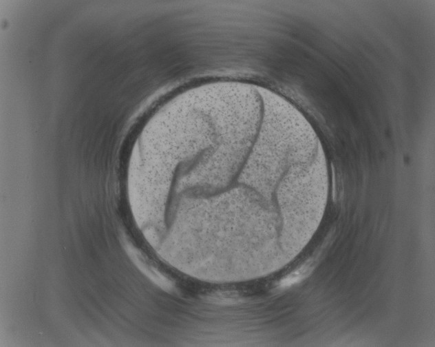 X0000081410252200702092116