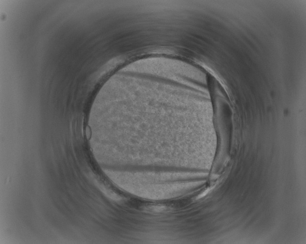 X0000081410253200702092116