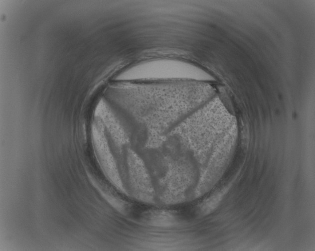 X0000081410254200702092116