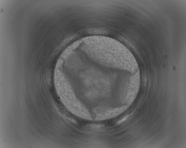 X0000081410255200702092116