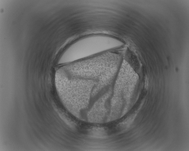 X0000081410256200702092116