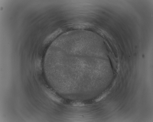 X0000081410258200702092116