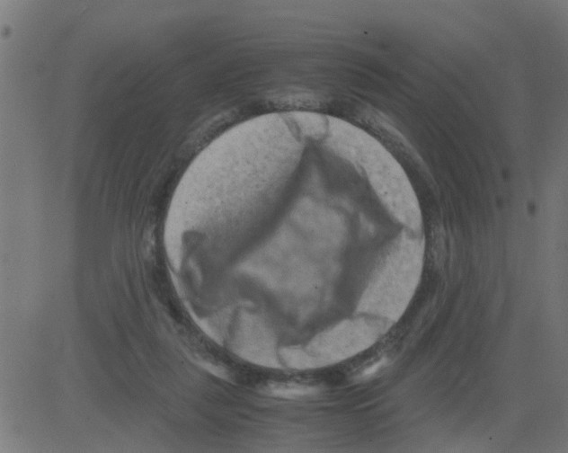 X0000081410259200702092116