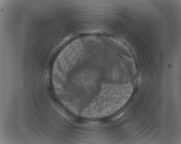 X0000081410260200702092116