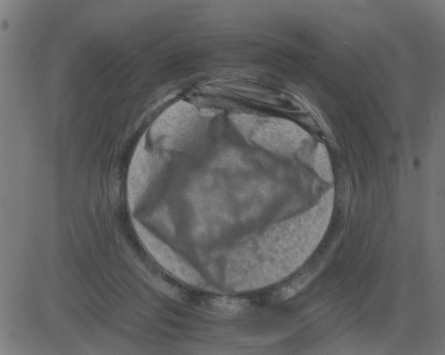 X0000081410261200702092116