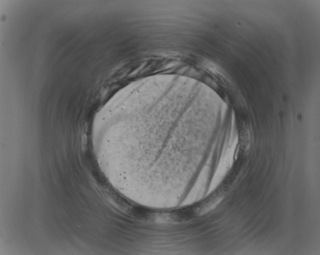 X0000081410264200702092116