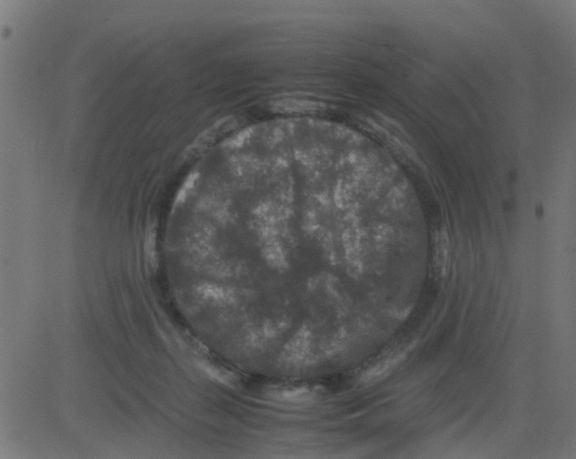 X0000081410267200702092116