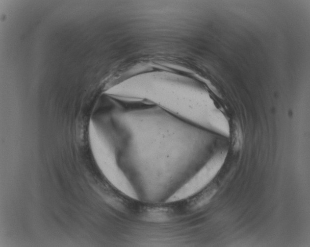 X0000081410268200702092116