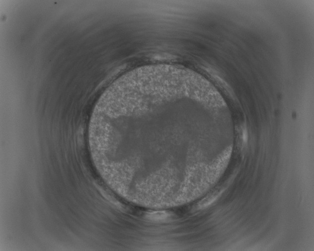 X0000081410269200702092116