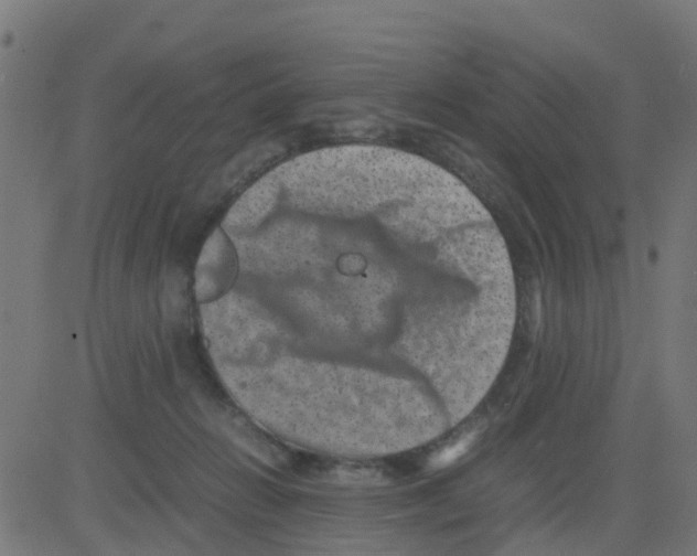 X0000081410270200702092116