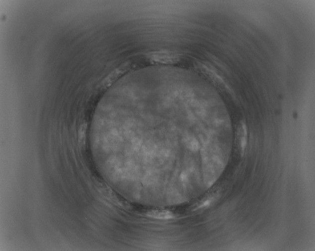 X0000081410271200702092116