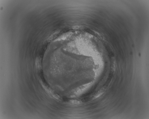 X0000081410272200702092116