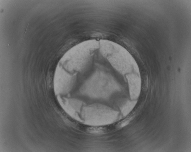 X0000081410273200702092116