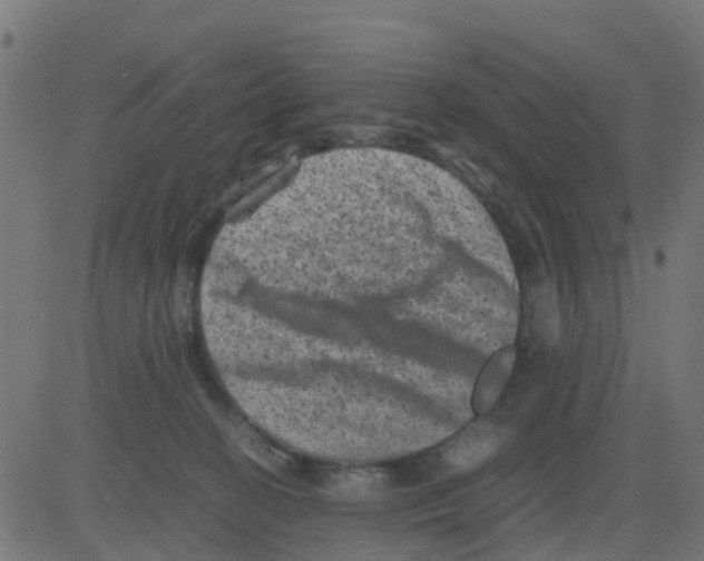 X0000081410274200702092116