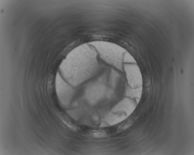 X0000081410275200702092116