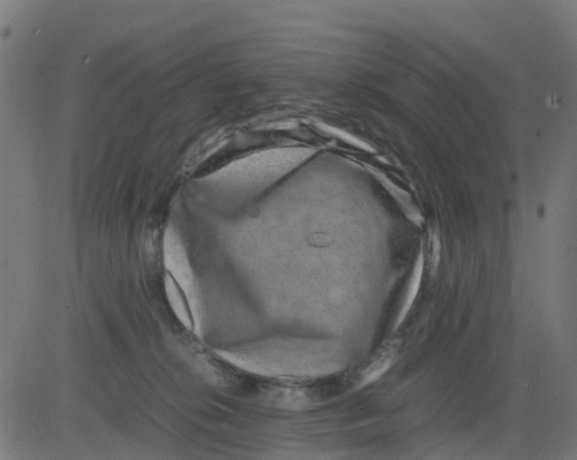 X0000081410276200702092116