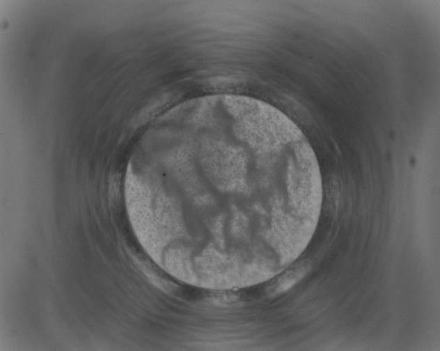 X0000081410278200702092116