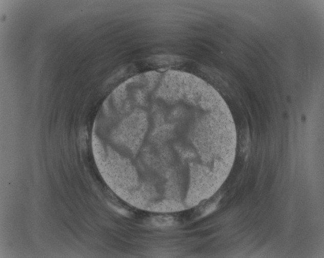 X0000081410279200702092116