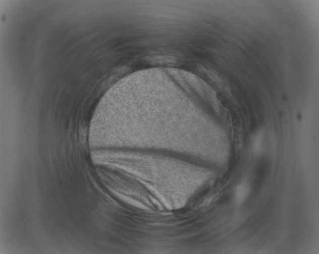 X0000081410281200702092116