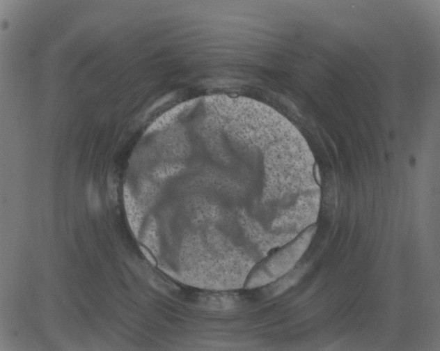 X0000081410282200702092116