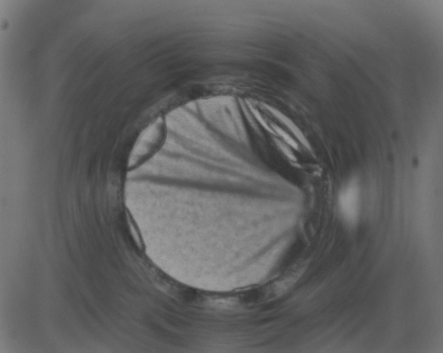 X0000081410283200702092116