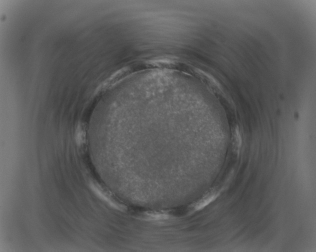 X0000081410284200702092116